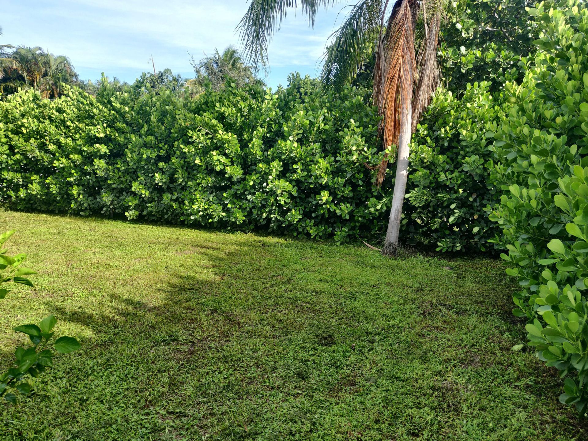 1901 Northridge Road, Delray Beach, FL 33444 Photo
