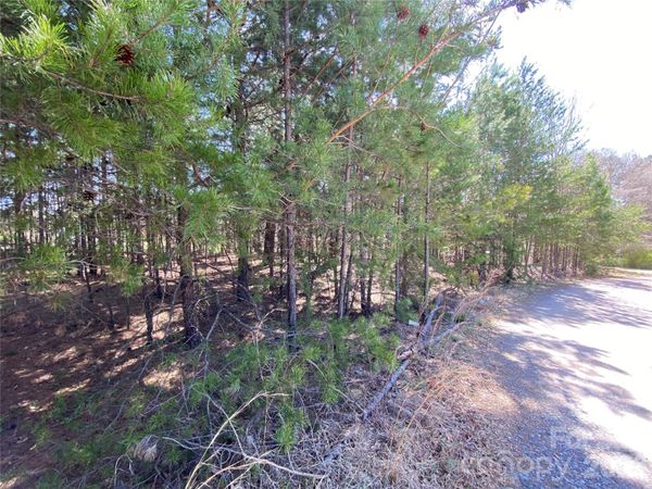 Next to 1670 Buck Oak Road , Lincolnton, NC 28092
