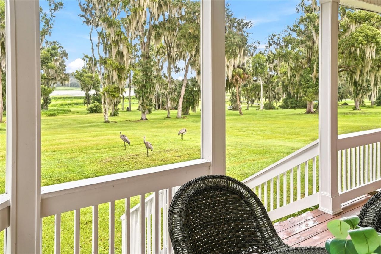 18350 Hancock Bluff Road, Dade City, FL 33523 Photo