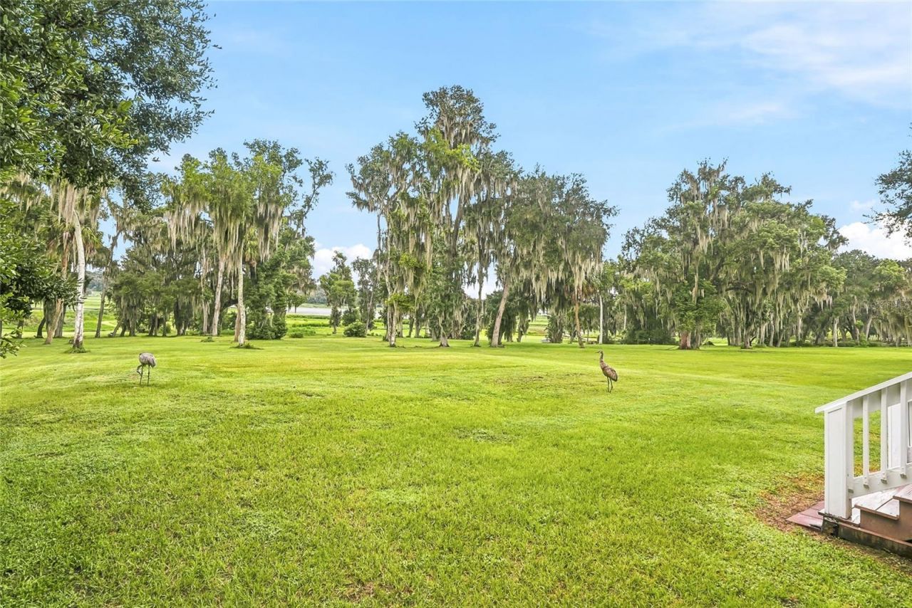 18350 Hancock Bluff Road, Dade City, FL 33523 Photo