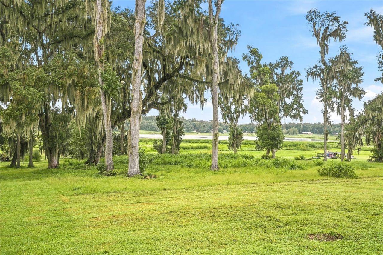 18350 Hancock Bluff Road, Dade City, FL 33523 Photo