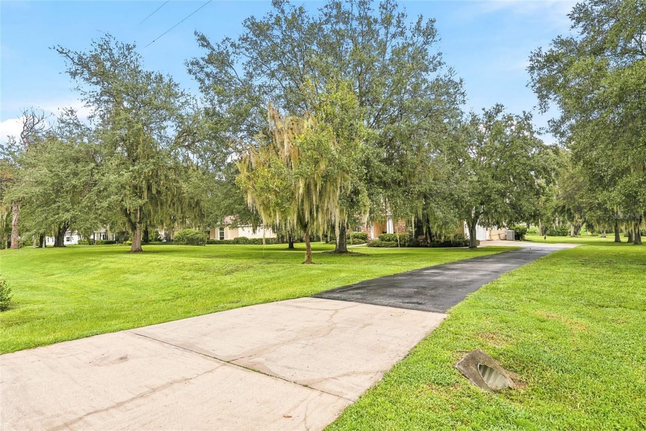 18350 Hancock Bluff Road, Dade City, FL 33523 Photo