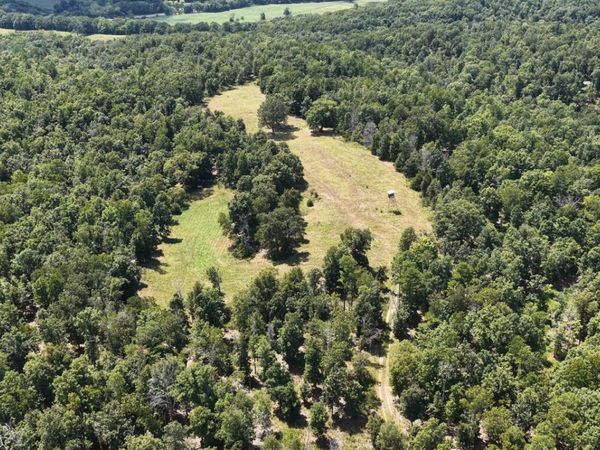 0000 County Road 422-17 , Birch Tree, MO 65438