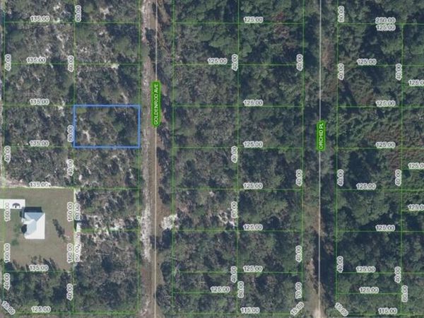 7019 Goldenrod Avenue , Sebring, FL 33875