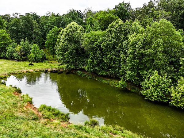 0 David Patterson Rd , Lutts, TN 38471