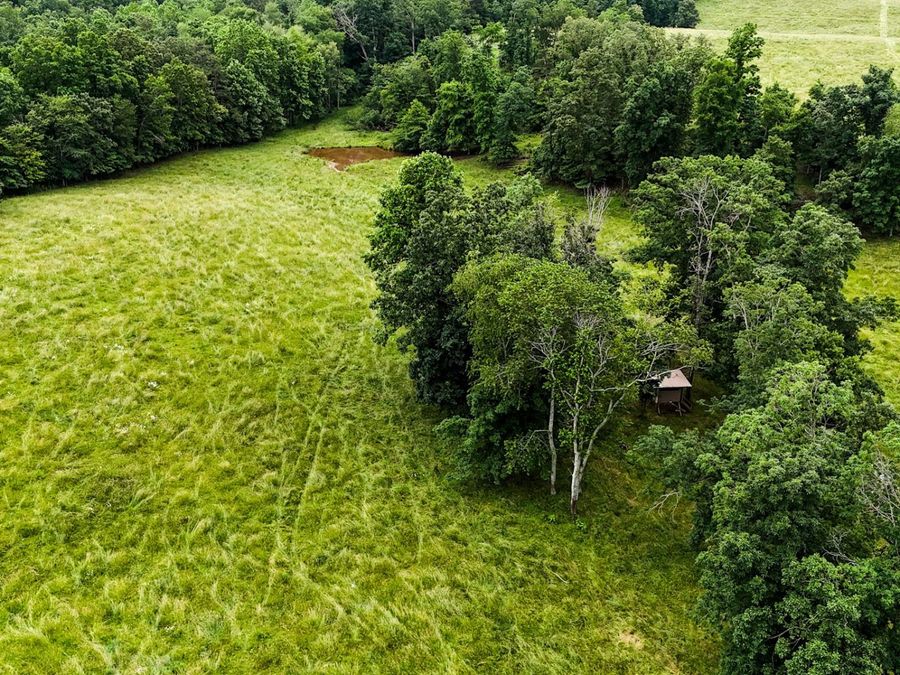 Property Image 33