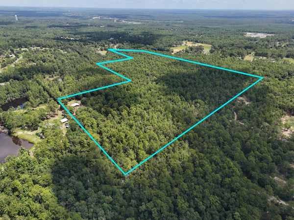 45 Acres John White Road, DeFuniak Springs, FL 32435