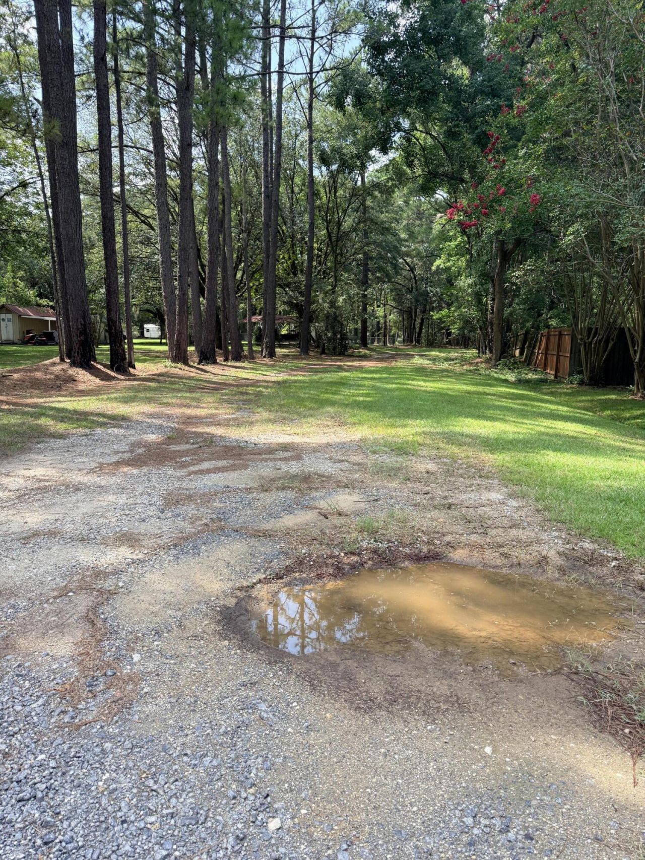 109 Cattail Court Photo 1