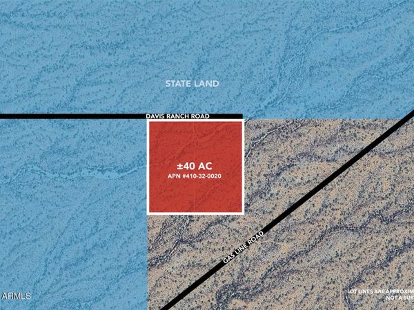 +/-40acres E Davis Ranch Road, Unit -, Marana, AZ 85658