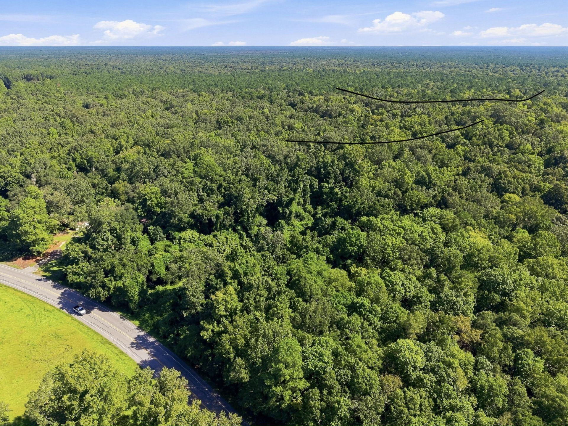 3796 Highway 402 Photo 6