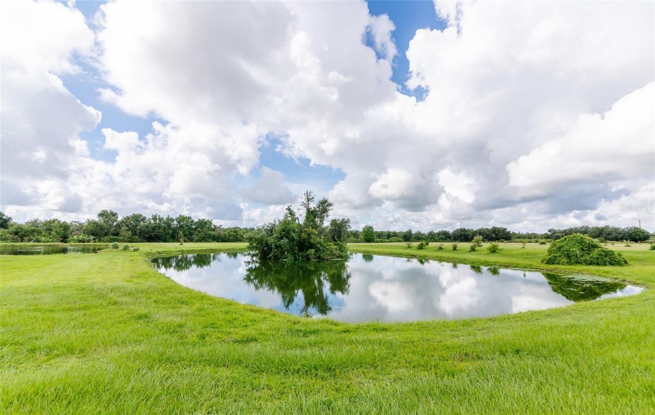 3005 Verna Bethany Road, Myakka City, FL 34251 Photo