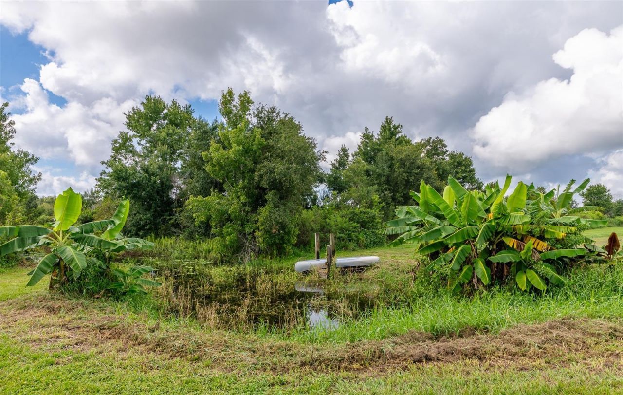 3005 Verna Bethany Road, Myakka City, FL 34251 Photo