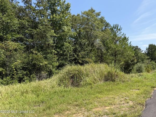 3.7 Acres Beesley Road, Lucedale, MS 39452