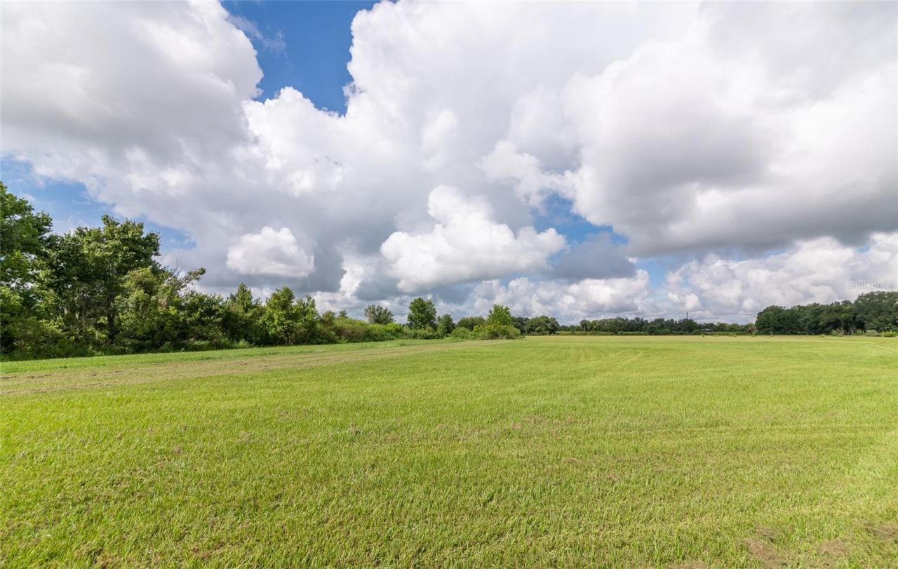3005 Verna Bethany Road, Myakka City, FL 34251 Photo
