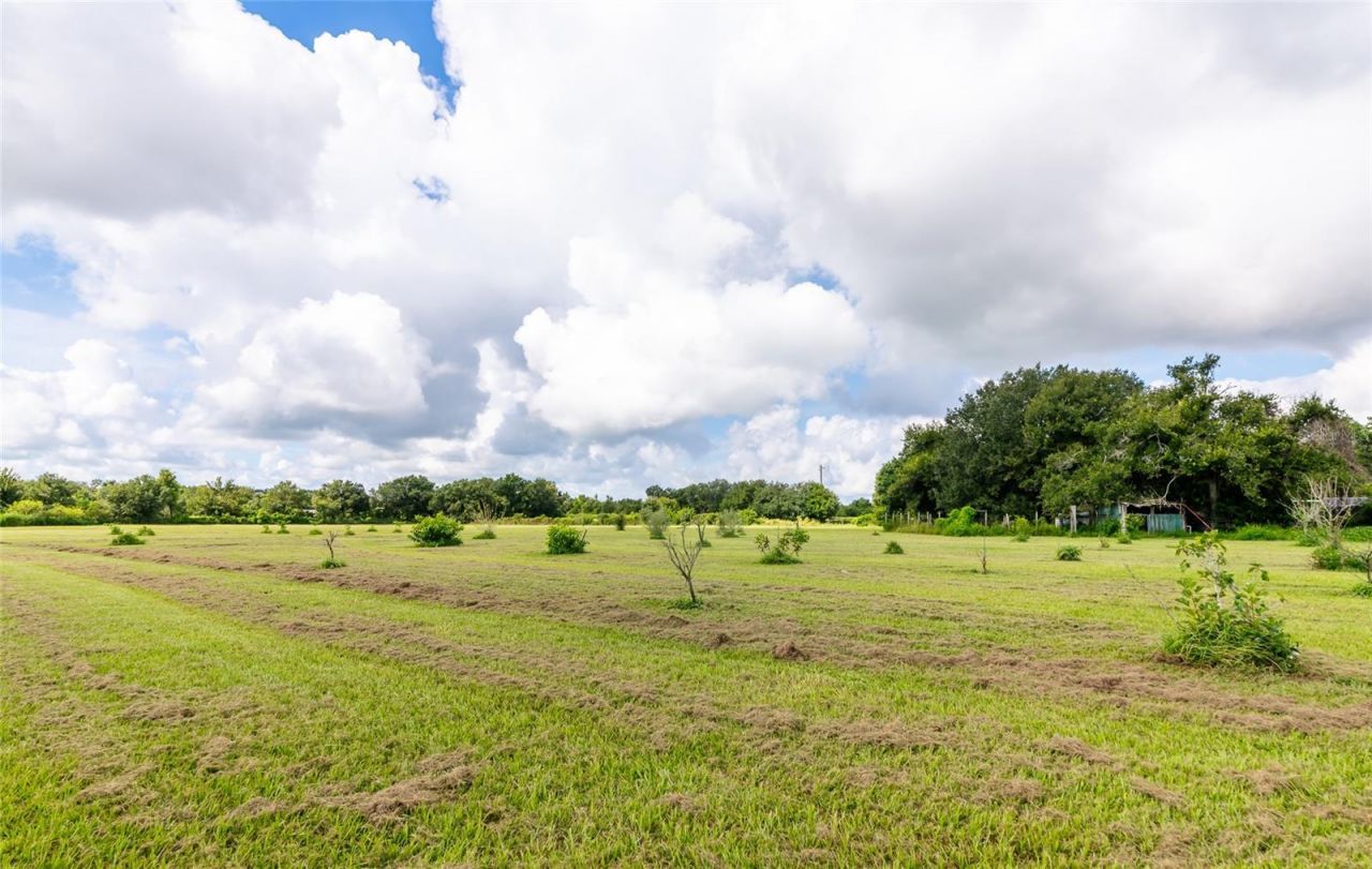 3005 Verna Bethany Road, Myakka City, FL 34251 Photo