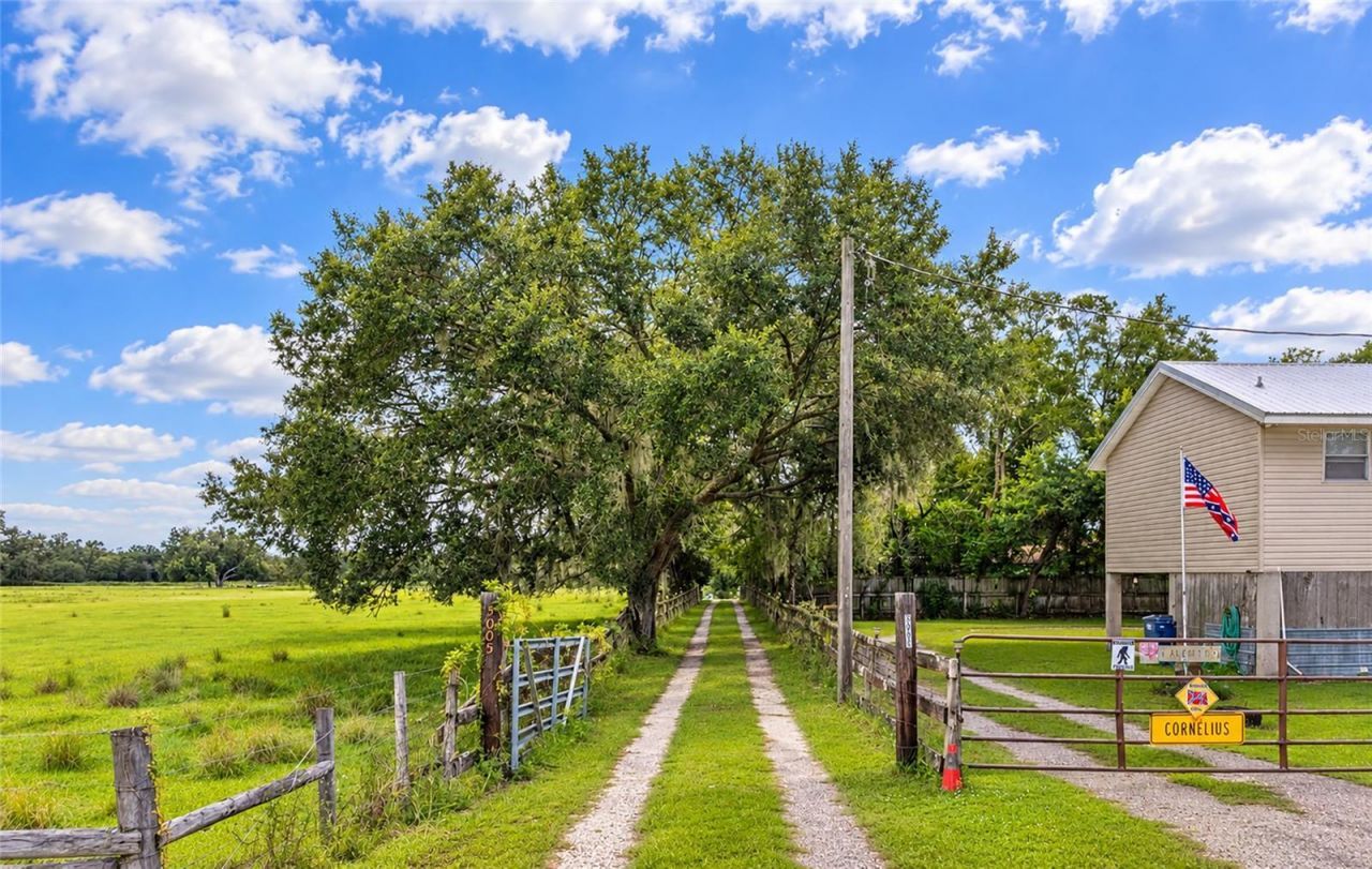 3005 Verna Bethany Road, Myakka City, FL 34251 Photo