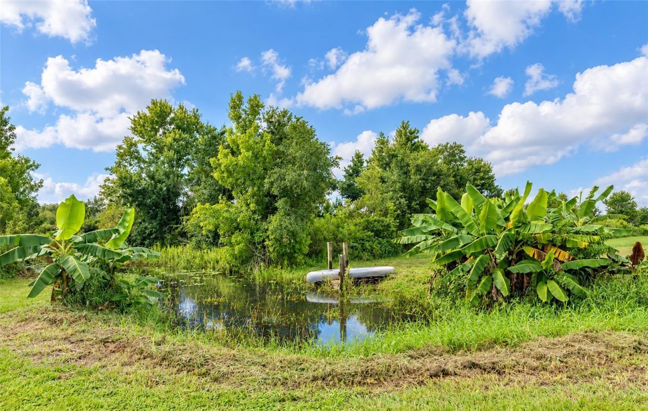 3005 Verna Bethany Road, Myakka City, FL 34251 Photo