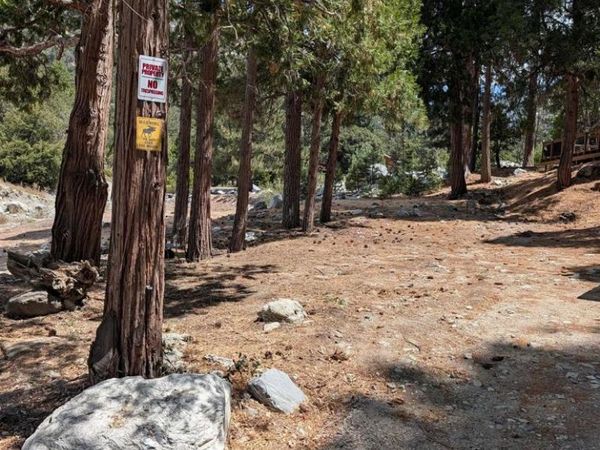 0 island dr, Forest Falls, CA 92339