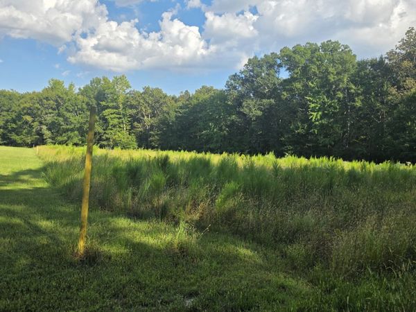 0 Pepper Road , Taft, TN 38488