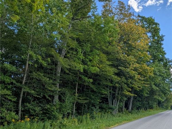 Jennison Rd , Pittsfield, NY 13411