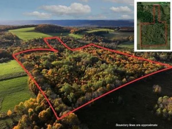 Jennison Rd, Pittsfield, NY 13411
