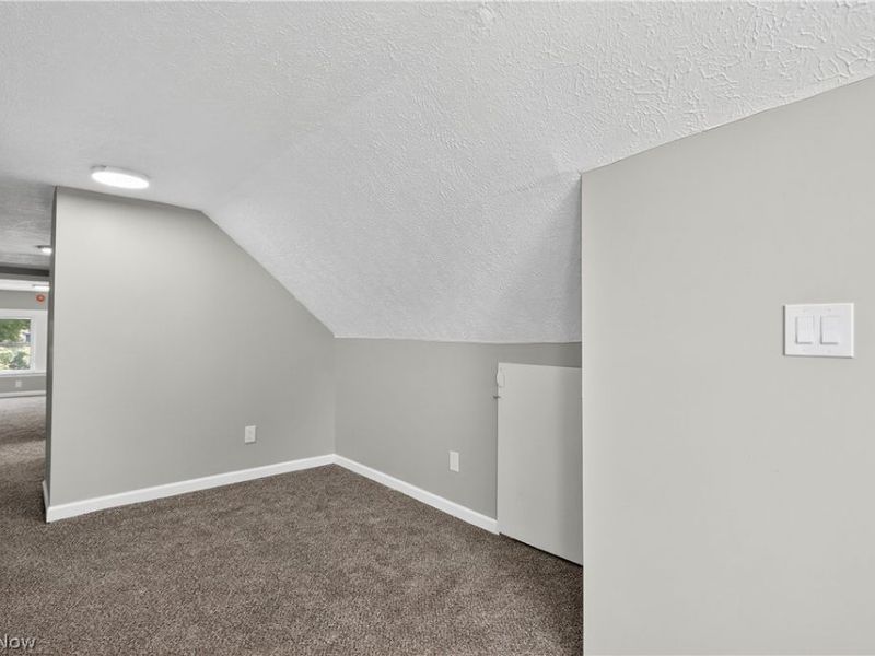 13608 Earlwood Road, Cleveland, OH 44110 Photo 33