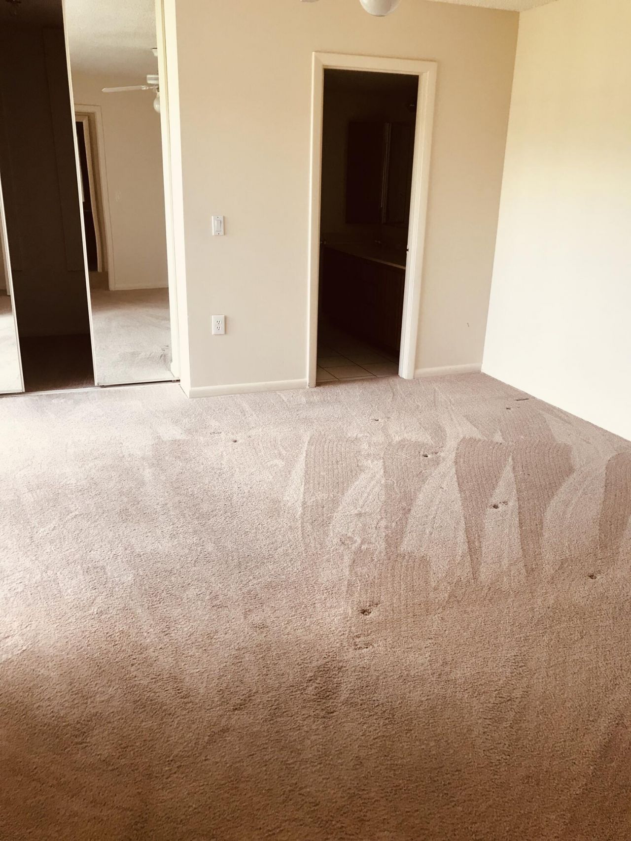 3719 37th Way, West Palm Beach, FL 33407 Photo