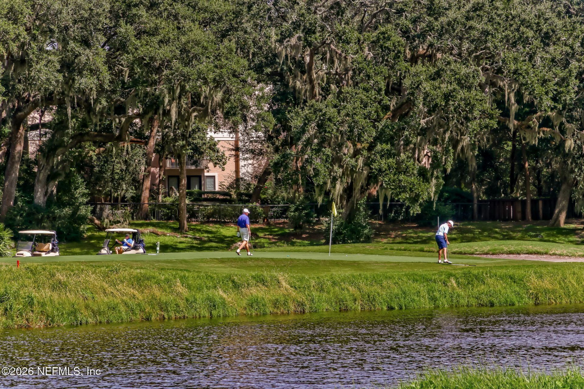 23 Painted Bunting, Fernandina Beach, FL 32034 Photo