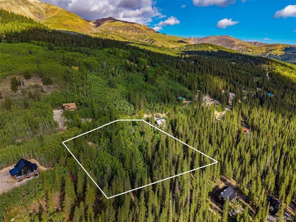 1238 Quartzville , Alma, CO 80420