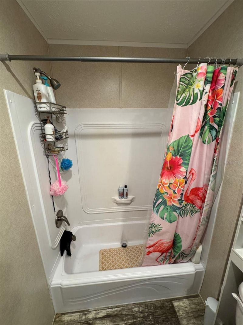 27590 County Road 42, Paisley, FL 32767 Photo