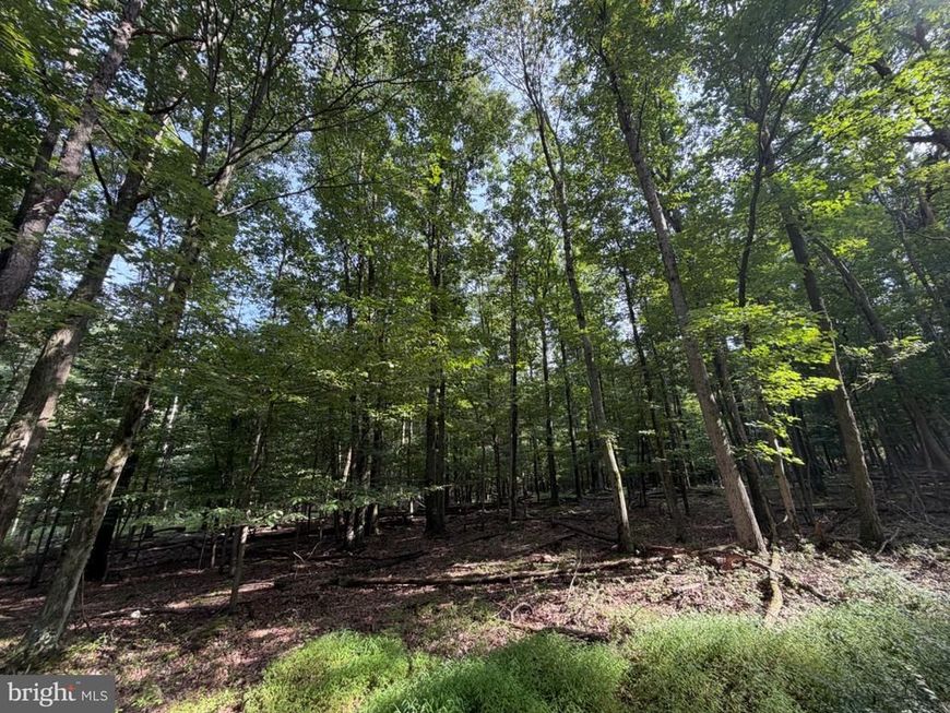 377 Davos Circle, Zion Grove, PA 17985 Main Photo
