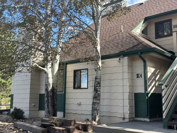 1010 S Saint Vrain Ave, Unit E-4, Estes Park, CO 80517