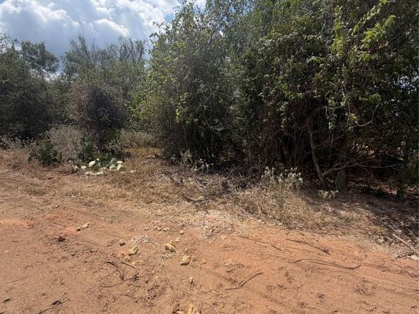 155 Waimanalo LN , Bastrop, TX 78602
