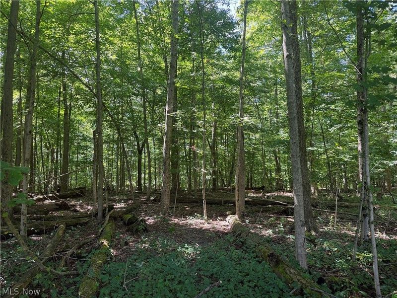 602 State Route 511, Ashland, OH 44805 Photo 6