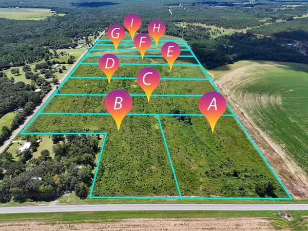 10 Acres B Co Hwy 2A Road, DeFuniak Springs, FL 32433