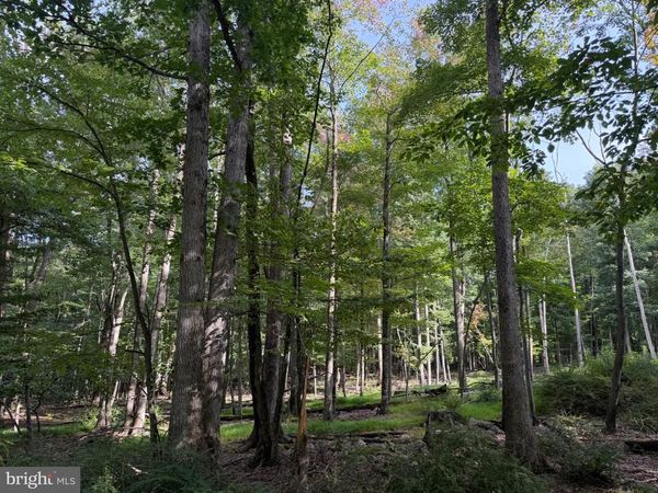 376 DAVOS CIRCLE , ZION GROVE, PA 17985