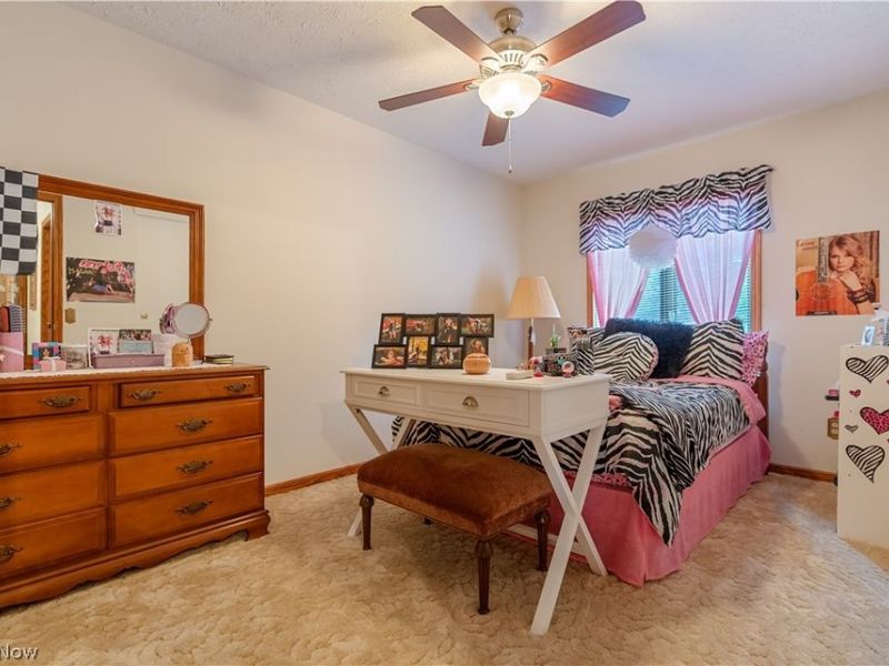 12969 Robinwood Street NE, Alliance, OH 44601 Photo 21