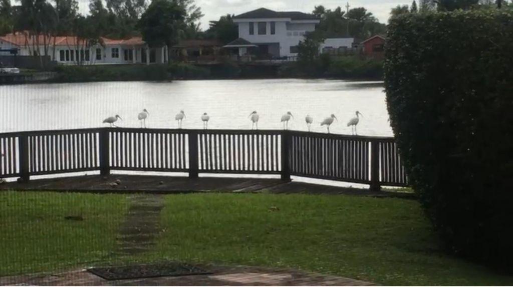 2390 NE 199th Street, Aventura, FL 33180 Photo