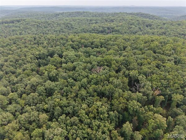 Section 32 Township 29 Range 3, Piedmont, MO 63957