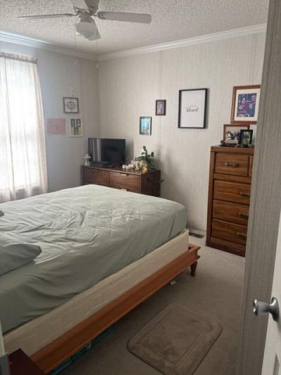 161 Country Lane Photo 8