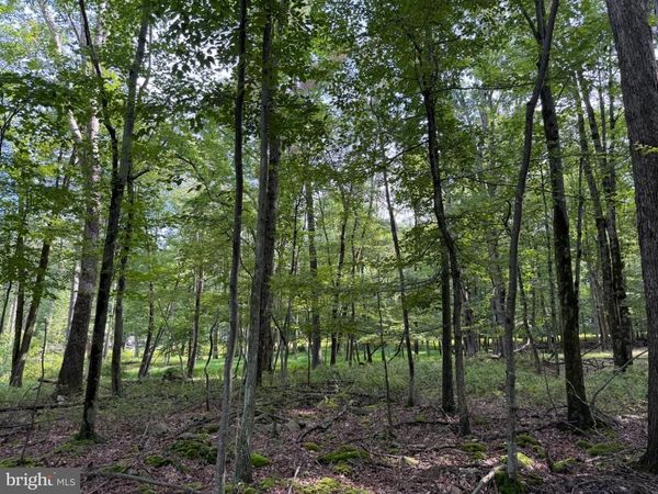 442 HAYSTACK DRIVE , ZION GROVE, PA 17985
