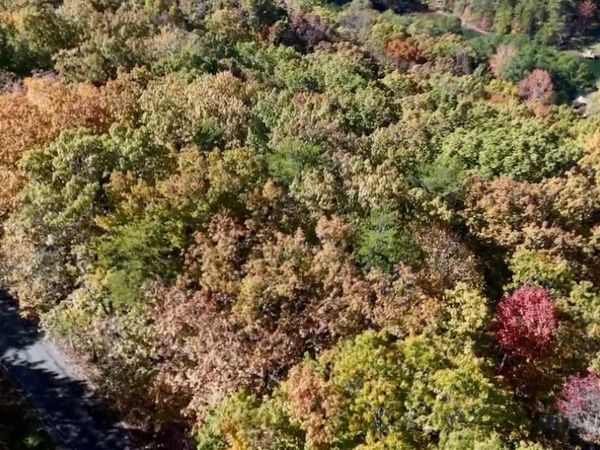 207 Laurel Mountain Rd, Madisonville, TN 37354