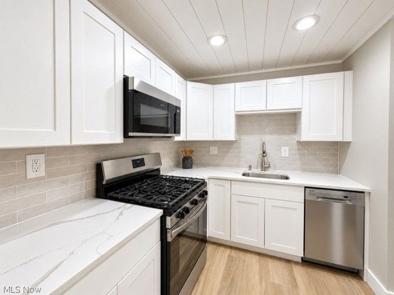 1651 Mentor Avenue, Unit 1306, Painesville, OH 44077 Photo 3