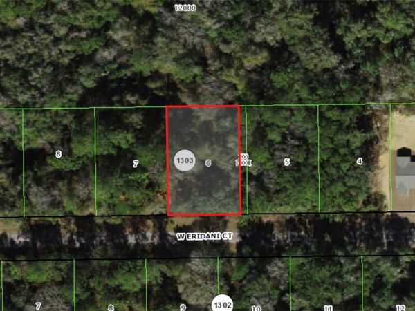 253 W ERIDANI COURT , CITRUS SPRINGS, FL 34434