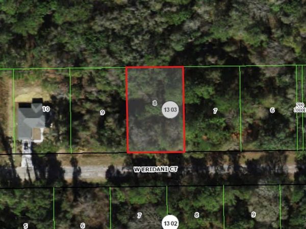 303 W ERIDANI COURT , CITRUS SPRINGS, FL 34434