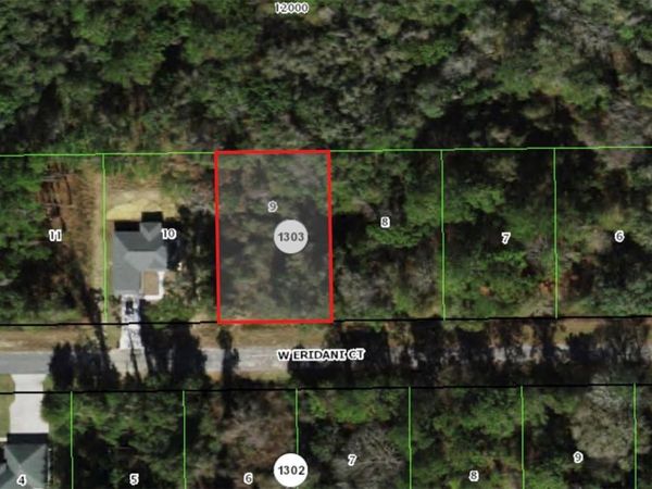 325 W ERIDANI COURT , CITRUS SPRINGS, FL 34434