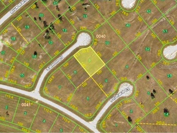 13032 SALMON DRIVE , PLACIDA, FL 33946