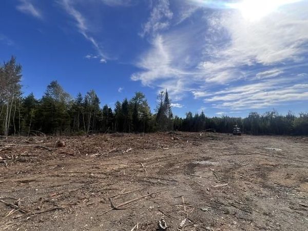 Lot 4.3 Off Estabrook Road, Cary Plt, ME 04471