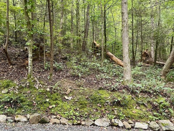 28 Walden Cove Way , Unit 28, Sevierville, TN 37862