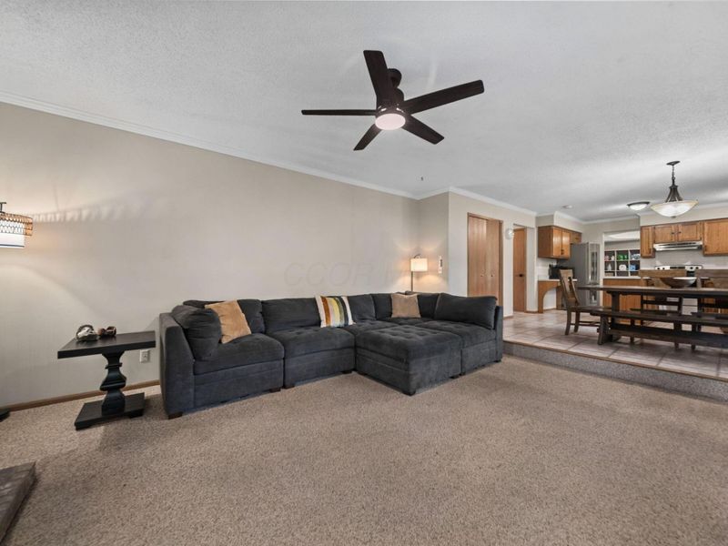 4224 Eagle Head Drive, Columbus, OH 43230 Photo 25